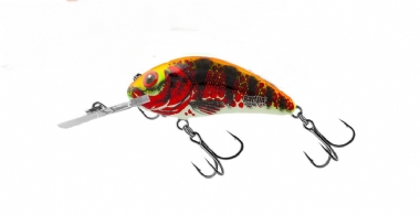 HOLO RED PERCH